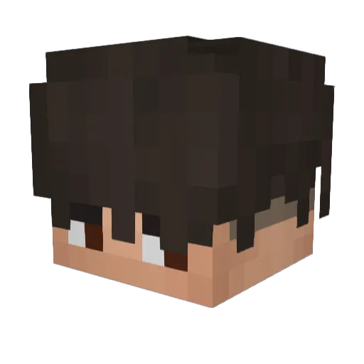 K0WaL959 Minecraft avatar head, 3D render