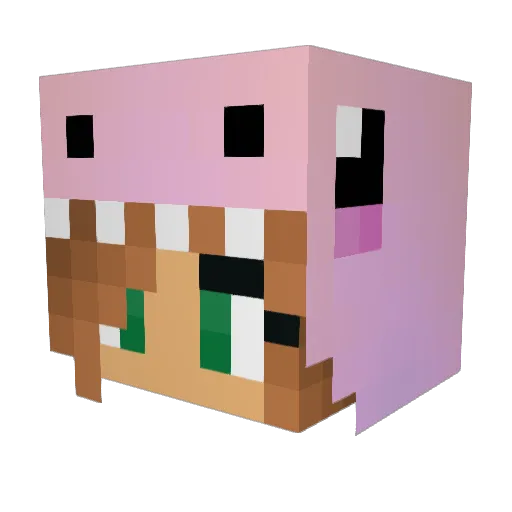 K0ndom Minecraft avatar head, 3D render