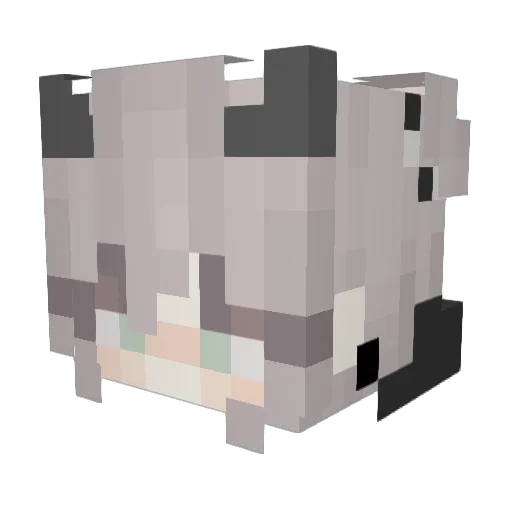 K10z Minecraft avatar head, 3D render