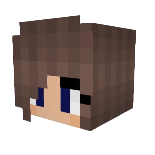 K13_x08 Minecraft avatar head, 3D render
