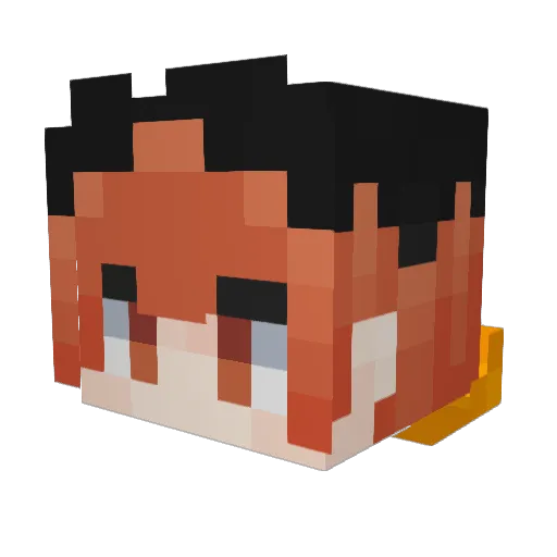 K1K1ESP Minecraft avatar head, 3D render