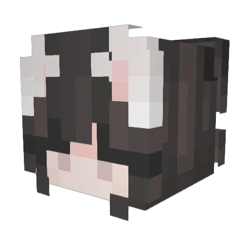 K1NG_R4NGER Minecraft avatar head, 3D render