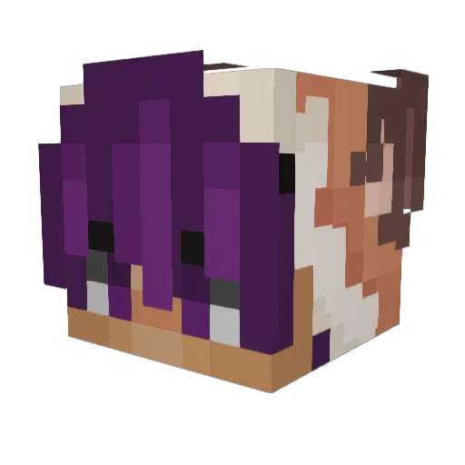 K1T___ Minecraft avatar head, 3D render