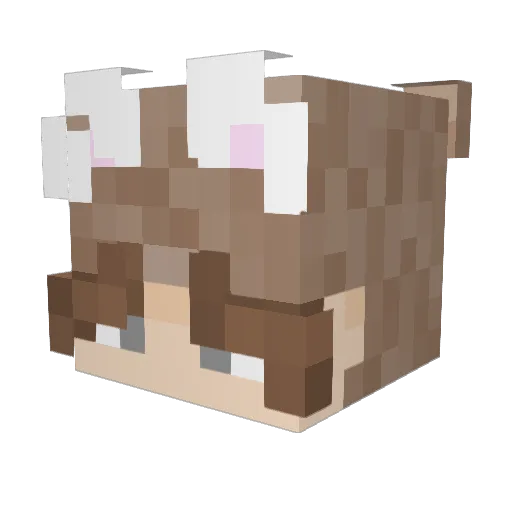 K1nkyBoy69 Minecraft avatar head, 3D render