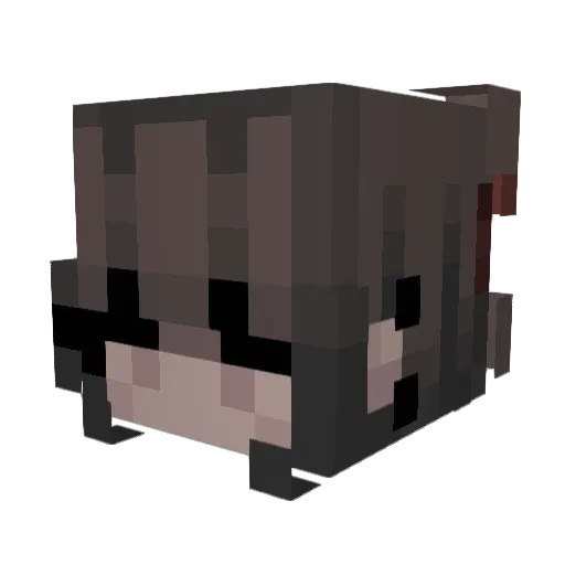 K1ss4r4 Minecraft avatar head, 3D render
