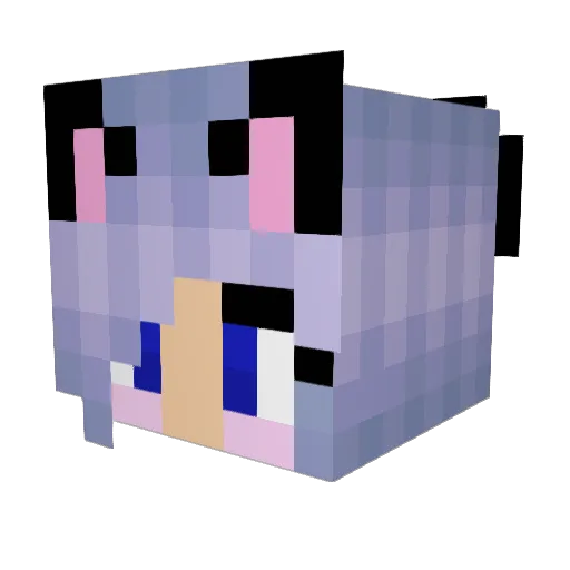 K1ttycat20 Minecraft avatar head, 3D render