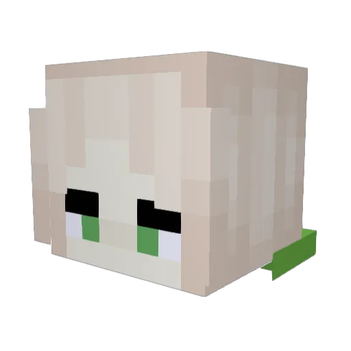 K1wi3 Minecraft avatar head, 3D render
