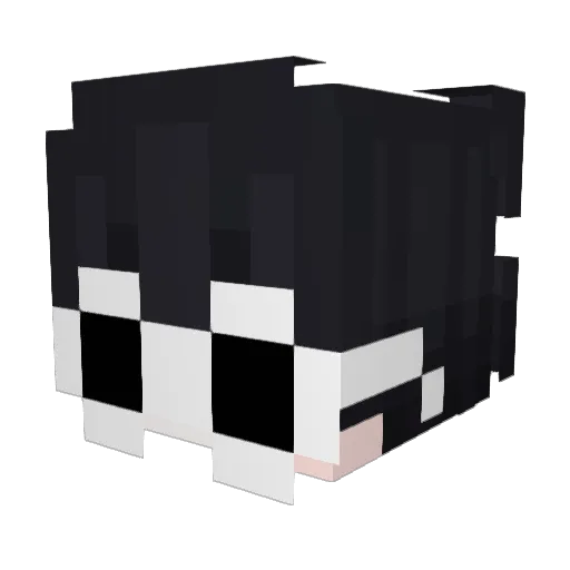 K3nZo1910 Minecraft avatar head, 3D render