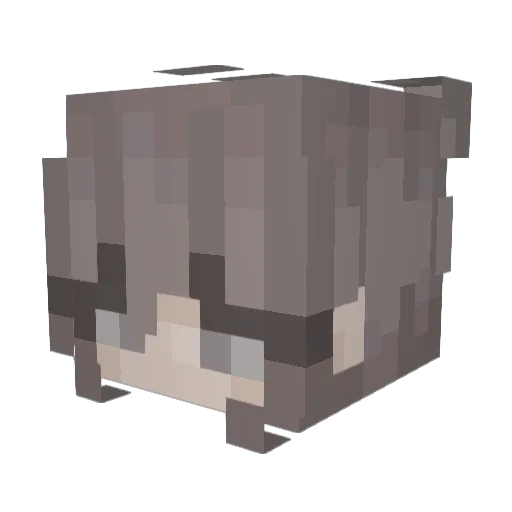 K4RMA4U Minecraft avatar head, 3D render