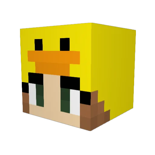 K4SN Minecraft avatar head, 3D render