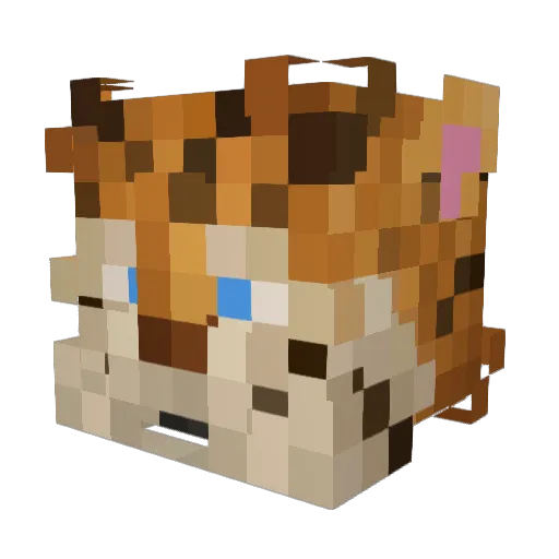 K4Y Minecraft avatar head, 3D render