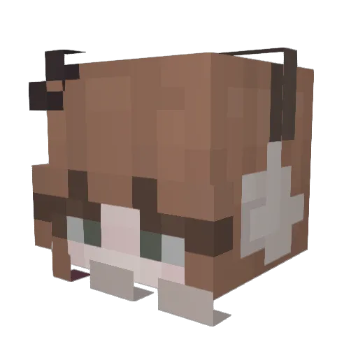 K4i__ Minecraft avatar head, 3D render