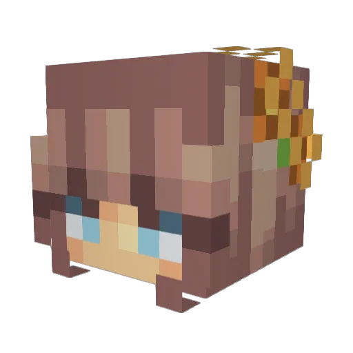 K4nt1r4n Minecraft avatar head, 3D render
