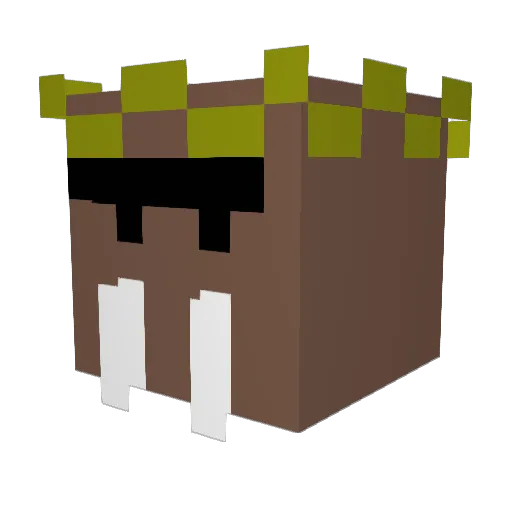 K4rg4z Minecraft avatar head, 3D render