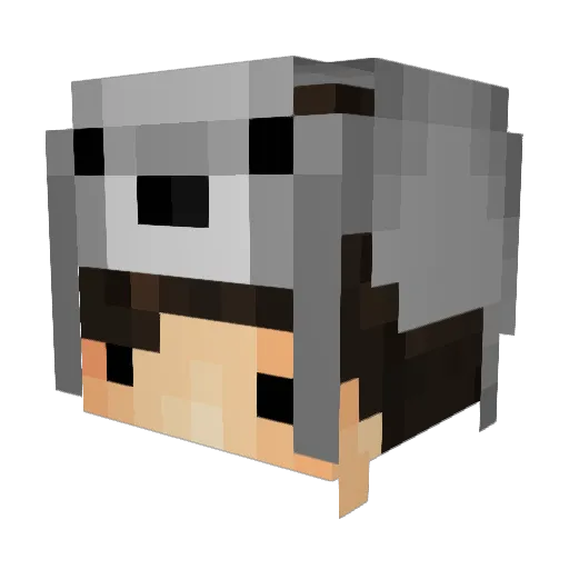 K9vis Minecraft avatar head, 3D render