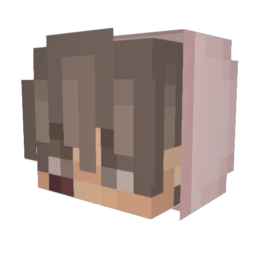 KAEFxSUPREME Minecraft avatar head, 3D render