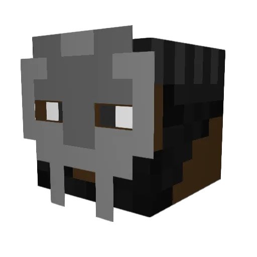 KAIjaaa Minecraft avatar head, 3D render