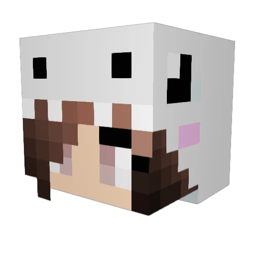 KAJackson Minecraft avatar head, 3D render