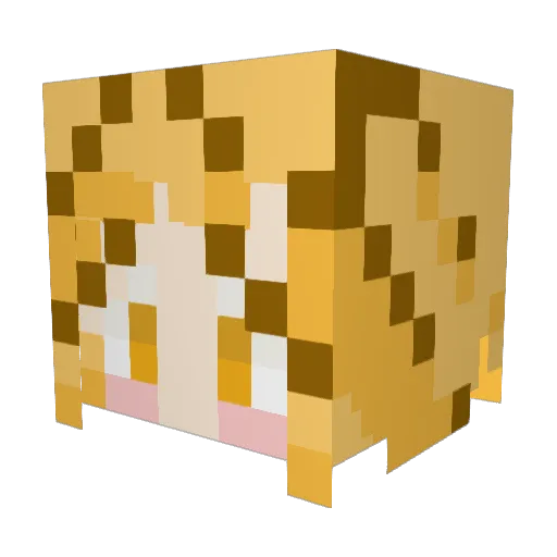 KAMETAPURIN Minecraft avatar head, 3D render
