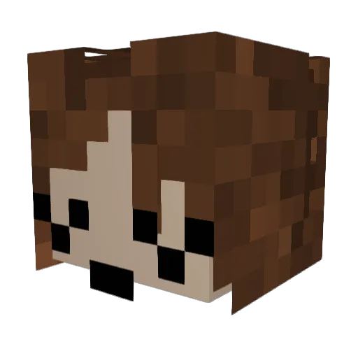 KAMP5 Minecraft avatar head, 3D render