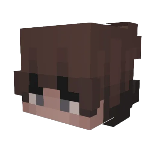 KAN1FOL Minecraft avatar head, 3D render