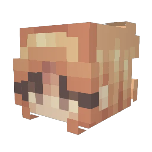 KANGARNOOODLE Minecraft avatar head, 3D render
