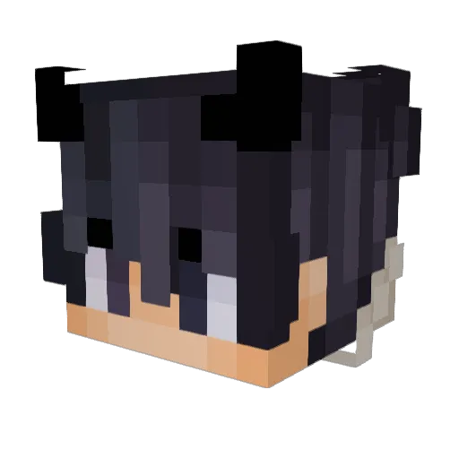 KARANXD Minecraft avatar head, 3D render