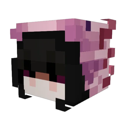 KARIIEEY Minecraft avatar head, 3D render
