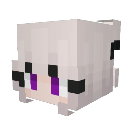 KARI_VILLEGAS Minecraft avatar head, 3D render