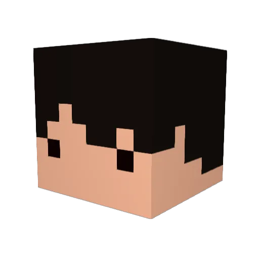 KARUMA_NeX Minecraft avatar head, 3D render