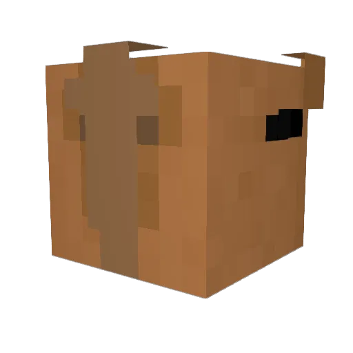 KAWIHSS Minecraft avatar head, 3D render
