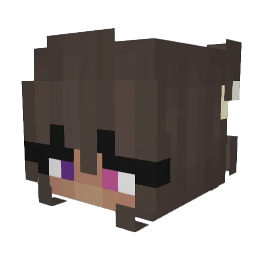 KAYZOOKID Minecraft avatar head, 3D render