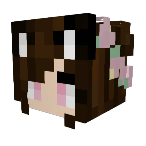 KAY_B1RD Minecraft avatar head, 3D render