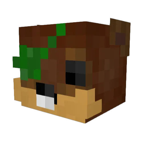 KAZE99 Minecraft avatar head, 3D render