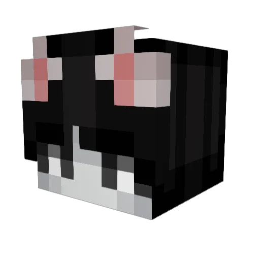 KAZZUKOO Minecraft avatar head, 3D render