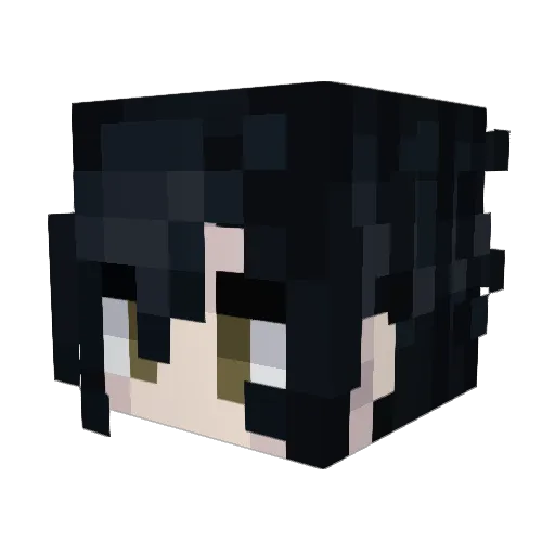 KBSNDA Minecraft avatar head, 3D render