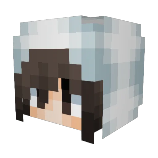 KBSwim18 Minecraft avatar head, 3D render