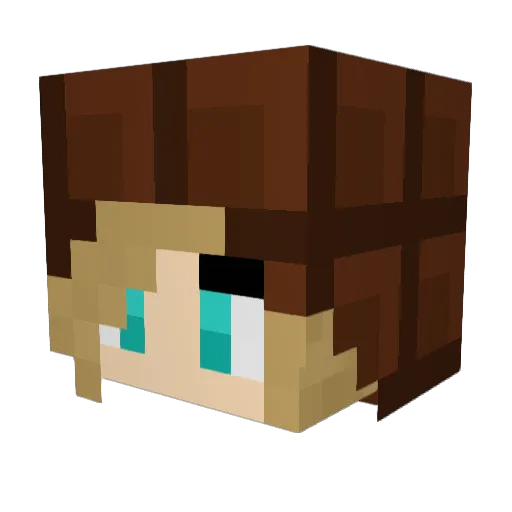 KBSwim Minecraft avatar head, 3D render