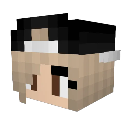 KBpenguins Minecraft avatar head, 3D render