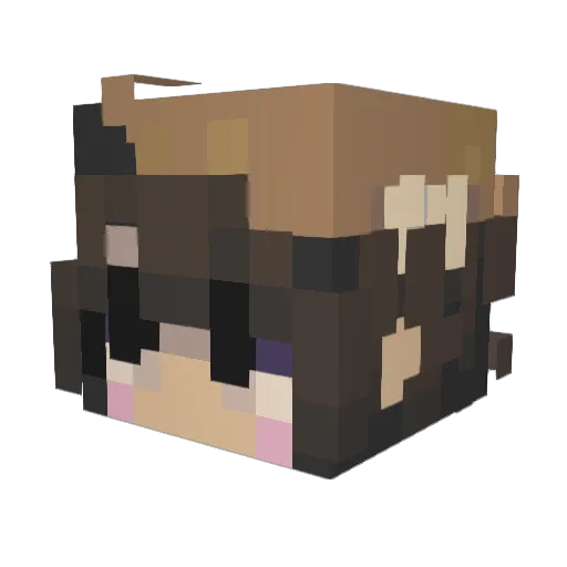 KCUSE Minecraft avatar head, 3D render