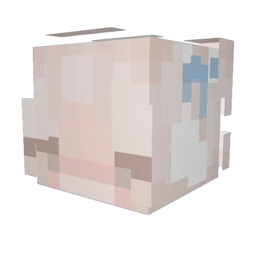 KC_Nigiri Minecraft avatar head, 3D render