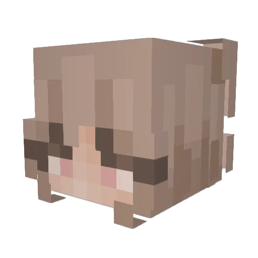 KDAWG637 Minecraft avatar head, 3D render