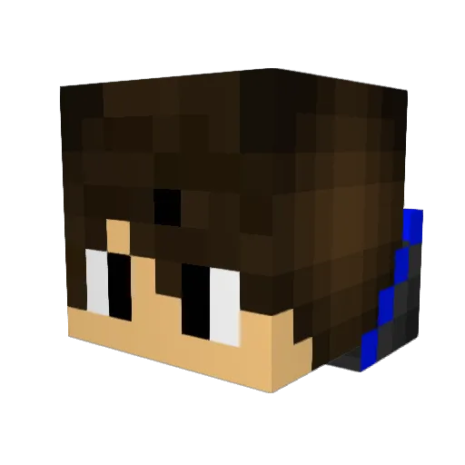 KDOGPLAYZ12 Minecraft avatar head, 3D render