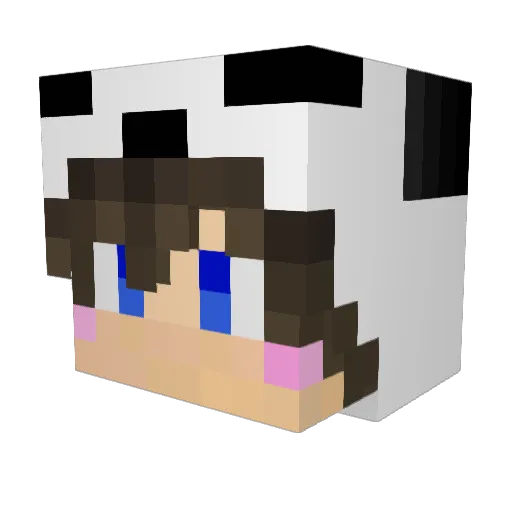 KEL_PANDA Minecraft avatar head, 3D render