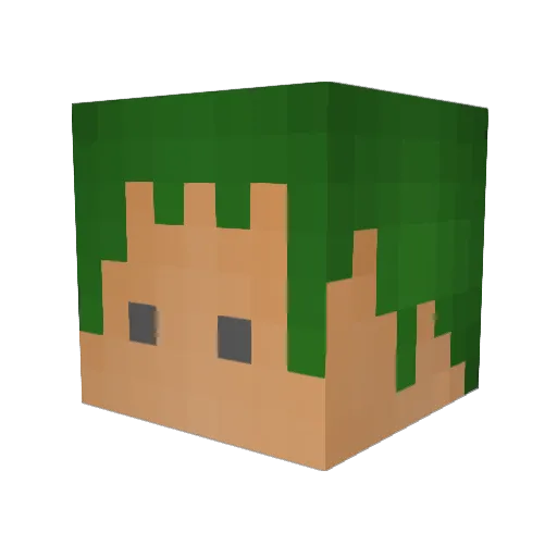 KFlynn1212 Minecraft avatar head, 3D render