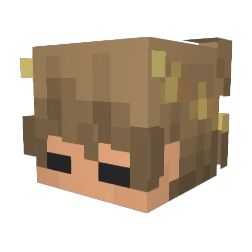 KG_312 Minecraft avatar head, 3D render