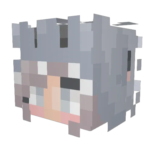 KGsays Minecraft avatar head, 3D render