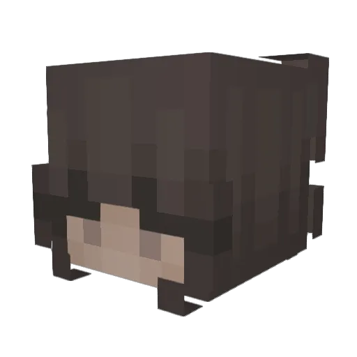 KHOUSE25 Minecraft avatar head, 3D render