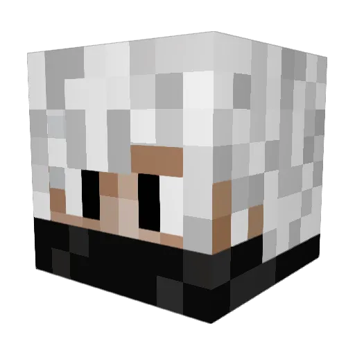 KID_BILLI Minecraft avatar head, 3D render