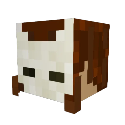 KIKI11037 Minecraft avatar head, 3D render